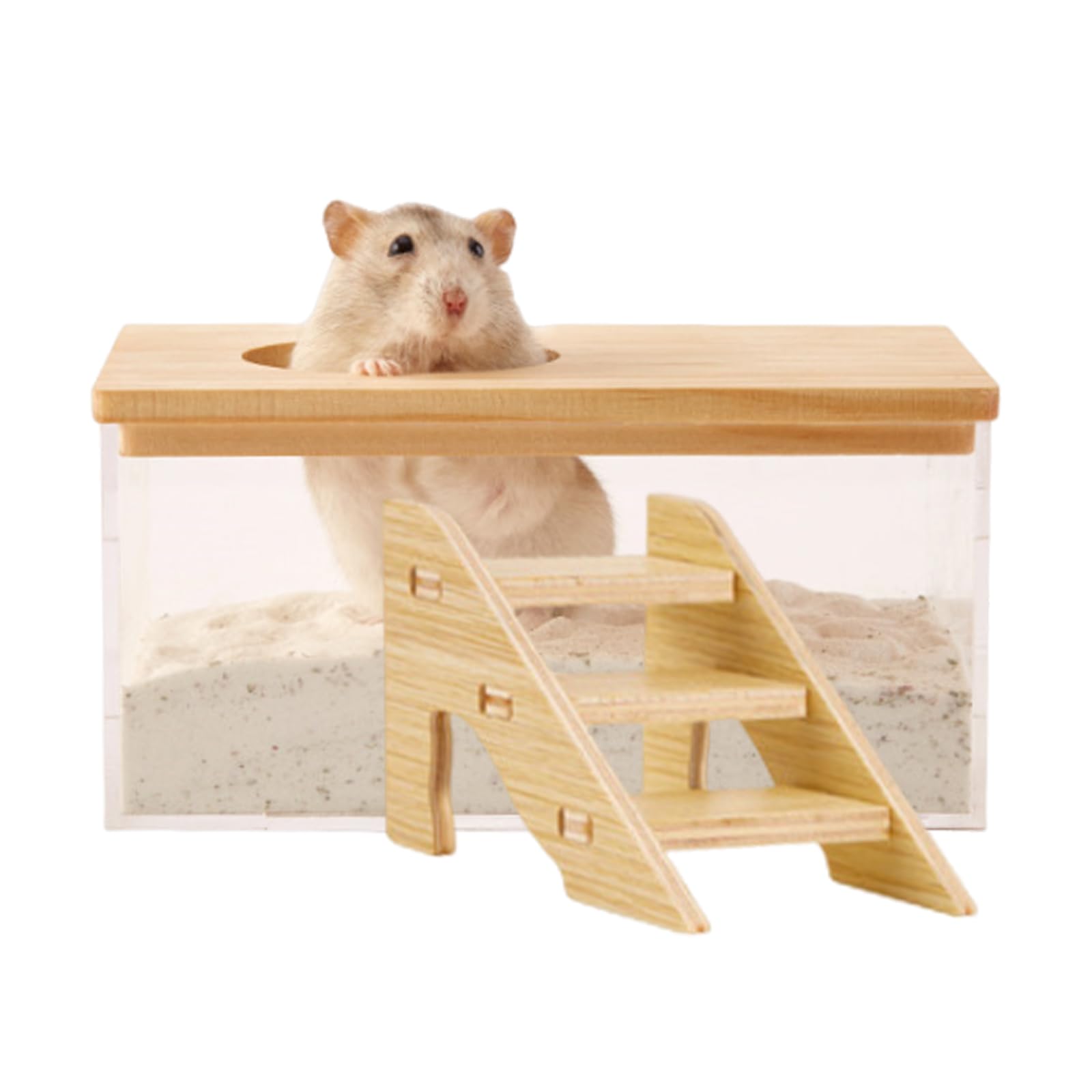 1 Pcs Hamster Sand Bath, Hamster Bath, Sand Bath For Syrian Hamster, Hamster Bath Container With Ladder, Pet Supplies, For Small Animal Toilet Bathtub Hamster Dig Box Shower And Digging Room Litter