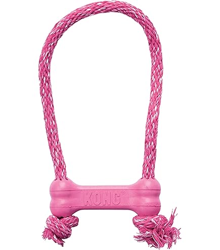 Innovative Rope Dog Toys Large Tire For Dogs Innovative Recycled Dog Toys  For Happy And