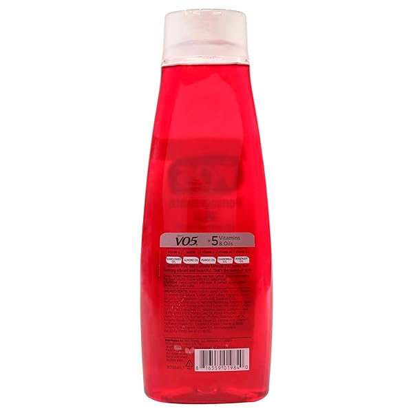 ALBERTO VO5 POMEGRANATE BLISS MOISTURIZING SHAMPOO – HYDRATING SHAMPOO WITH GRAPE SEED EXTRACT – POMEGRANATE SCENT – FIVE OILS AND VITAMINS – 15 OZ