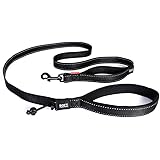 ezydog track n train