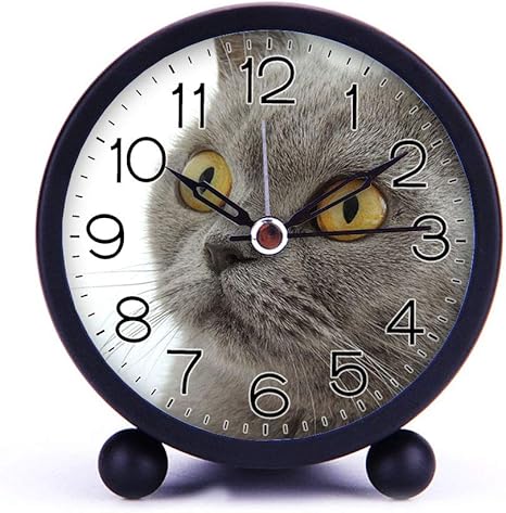 Amazon Co Jp かわいい色の目覚まし時計 夜の光の家の装飾 068 とラウンドメタル卓上時計ポータブル時計 ロシアンブルーキャット 白 の接写写真 ホーム キッチン