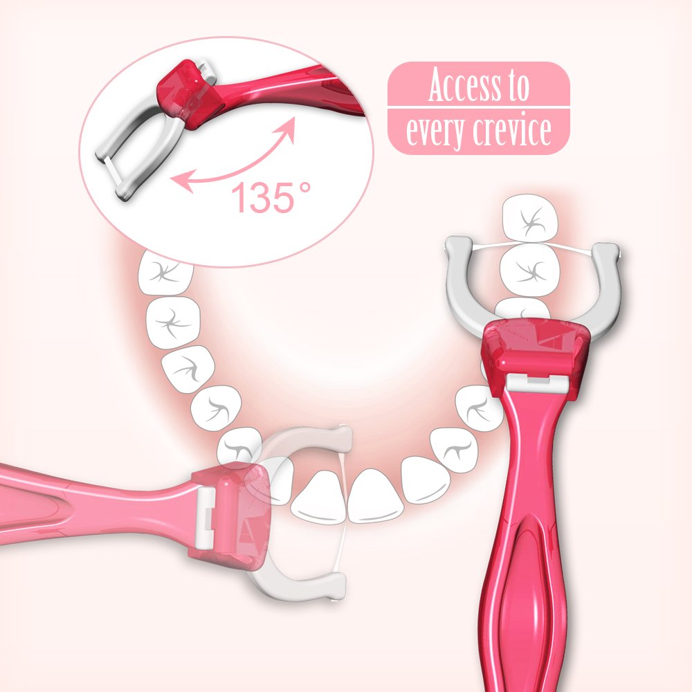 T.Smile 3rd Generation Dental Flosser 1 Handle + 50 Soft Silky Ribbon Floss Heads + 50 Extra Strength Floss Heads, Evolutionary Clean, Pack of 1 : Beauty