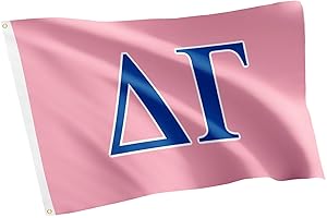Desert Cactus Delta Gamma Flag Pink Greek Letter Blue Sorority Banner Large 3x5 feet Sign Decor DG