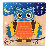 Noveltyhouse Wood Owls Children's Puzzle Shaped Wooden Peg Puzzle Toy for Kids Toddlers (Owl)