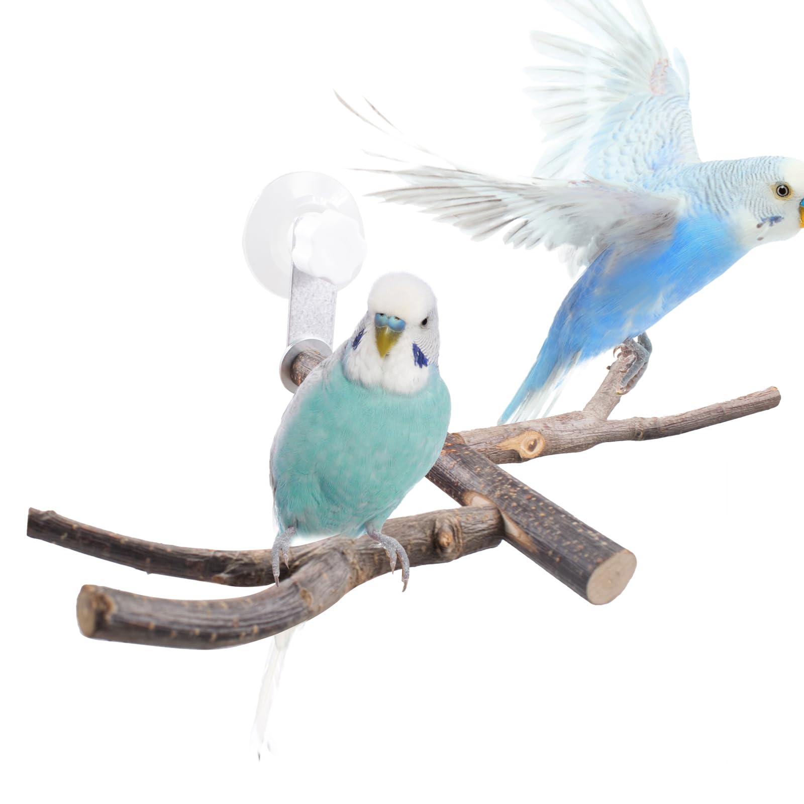 Photo 1 of Bird Perch with Suction Cup Window Wall Bath Car Outdoor Travel Perch Stand for Small and Medium Bird Parrot Parakeet Cockatiel Conure African Greys Budgie Lovebirds (Two-Y-Type Wood Window Perch)