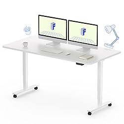 FLEXISPOT E6 Dual Motor 3 Stages Standing Desk