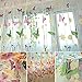 Daxin Butterfly Panel Scarf Window Curtain Screens Balcony Sheer Valances Home