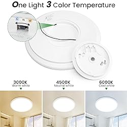 hepside 12Inch Flush Mount Light Fixture