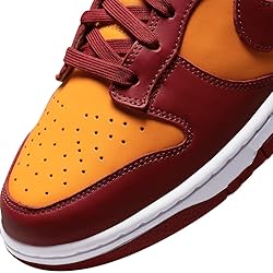 Nike Men's Dunk Low Retro Basketball