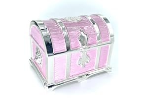 TRUEWON Vintage Metal Jewelry Chest Treasure Trinket Box, Gem Storage Tray Ring Earrings Necklace Keepsake Gift Holder Case Bag for Girls Ladies Women (Medium Silver Pink)