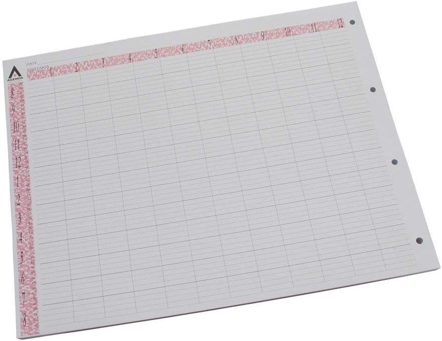 Agenda Loose Leaf Refill 12 Assistant