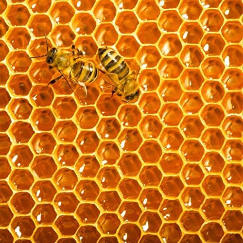 Zen Art &amp; Design Artisanal Wooden Jigsaw Puzzle, Honeybees, Medium