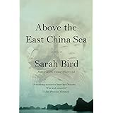 Above the East China Sea