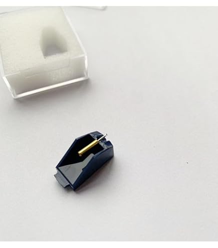 Amazon.com: Durpower Phonograph Record Turntable Needle