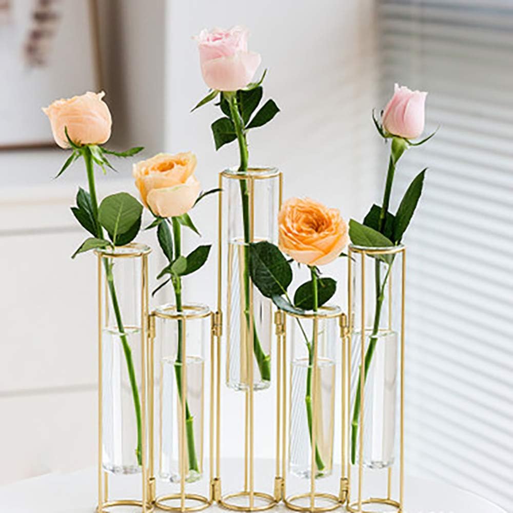 LACKINGONE 5 pcs Flower Vase Metal Stand. Decorative Glass