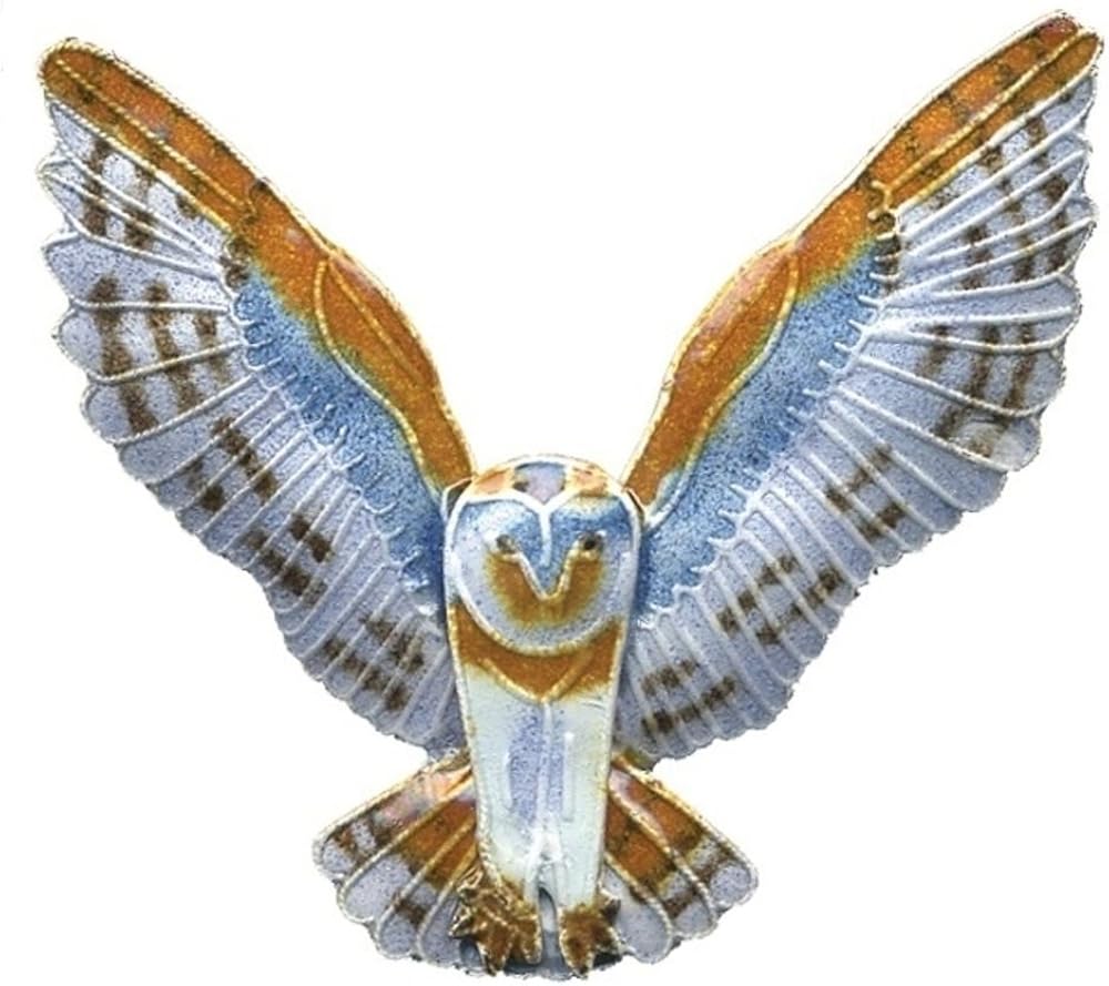 Amazon Com Barn Owl Cloisonne Pin Jewelry
