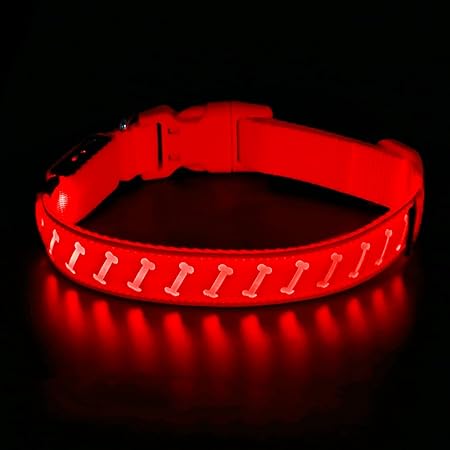 light up dog accessories