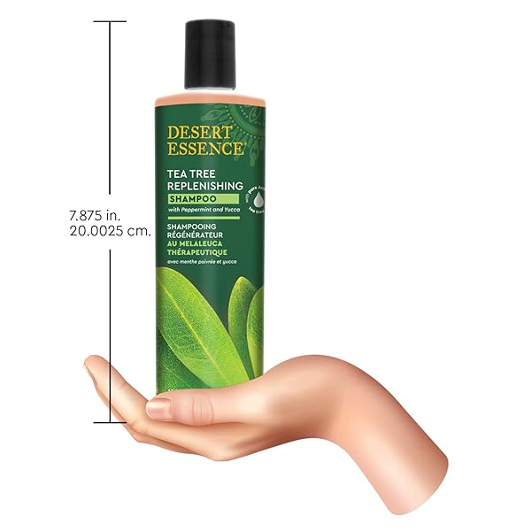 DESERT ESSENCE TEA TREE OIL REPLENISHING SHAMPOO, 12.7 FL OZ, GLUTEN FREE, VEGETARIAN, NON-GMO, PARABEN FREE – MOISTURE REPLENISHING SHAMPOO WITH PEPPERMINT & EUCALYPTUS OILS TO DEEPLY CLEANSE HAIR