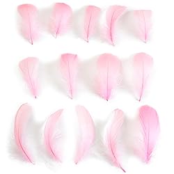300pcs Pink Feathers 2-3 Inches Bulk Feathers for