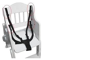 5 point harness high chair