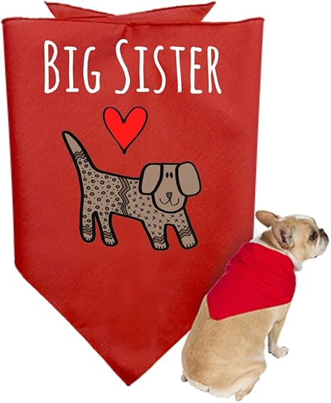 big sister dog outfit