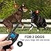 Mothca Dog Training Collar 2 Dogs with Remote 1800ft [2018 New Version] Waterproof Rechargeable with Beep/Vibration / Electric Shock Modes for Small Medium Large Dogs - No Problem Swimming/Shower