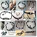 Timeline Treasures European Charm Bracelet Charms and Beads For Women, DIY Jewelry, Family Love Hearts