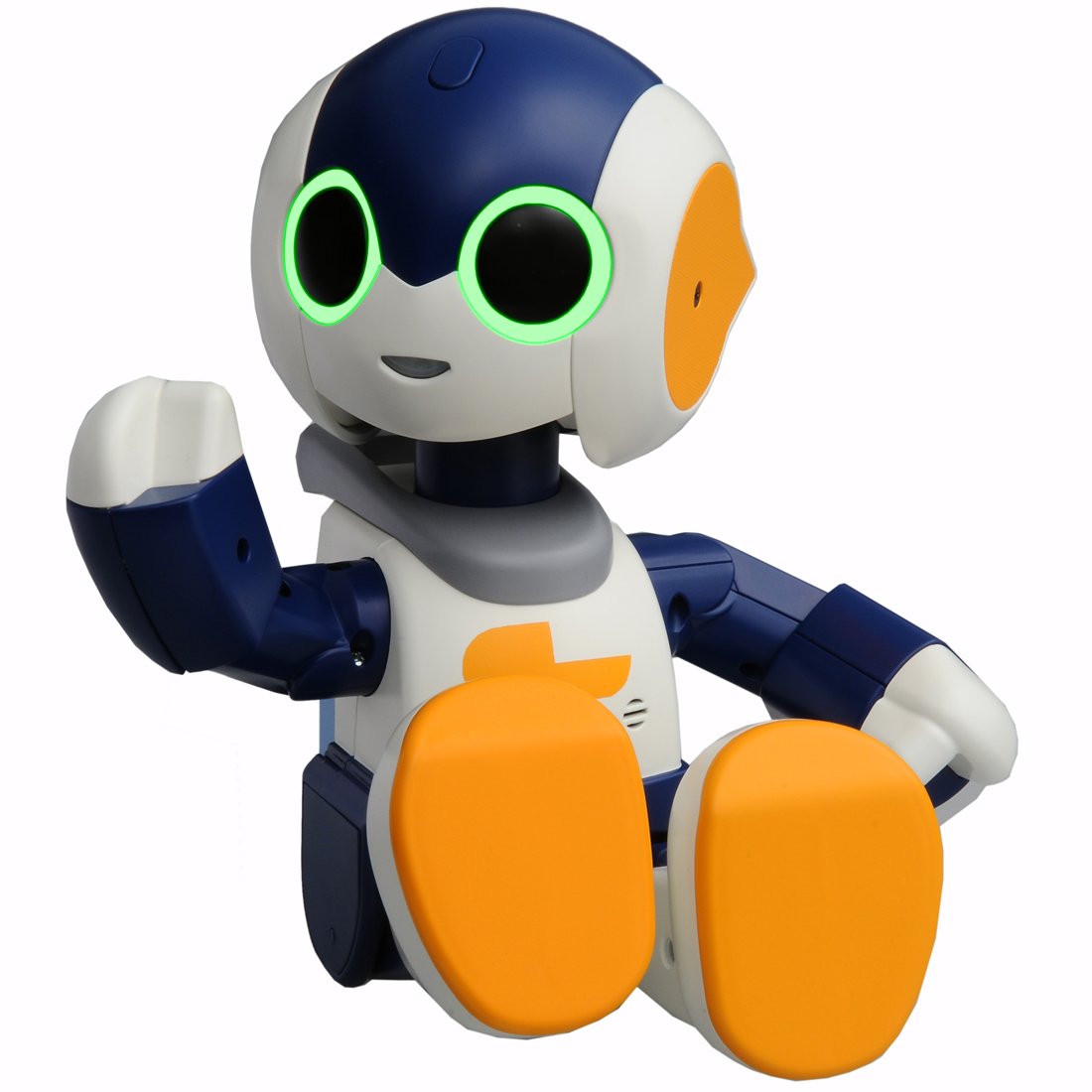 robi robot amazon
