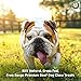 Nature Gnaws Braided Bully Sticks for Dogs - Premium Natural Beef Bones - Long Lasting Dog Chew Treats for Small and Medium Breeds - Rawhide Free - 6 Inch (5 Count)
