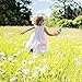 SOTOGO 2 Pieces Little Girls Purses Toddler Crossbody Purse Princess Purses Handbags Cute Girl Wallets Mini Shoulder Crossbody Bags for Kids