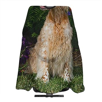 hound dog hairdressing