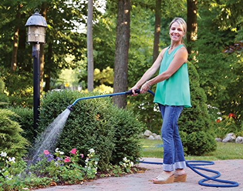 Dramm 13200 Rainselect Wand Head Spray