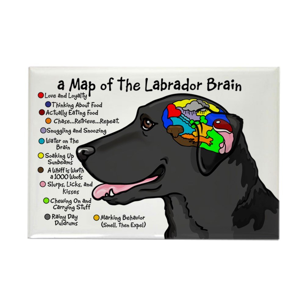 Which Is The Best Lab Signs Refrigerator