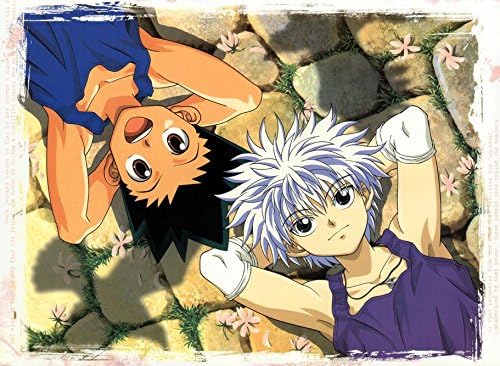 Amazon Com Tiansw Hunter X Hunter 2011 19inch X 14inch 48cm X Amazon Com Tiansw Hunter X Hunter 2011 19inch X 14inch 48cm X