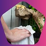 petall Extra Large Hypoallergenic Biodegradable Pet Wipes Fragrance Free 50 view 8