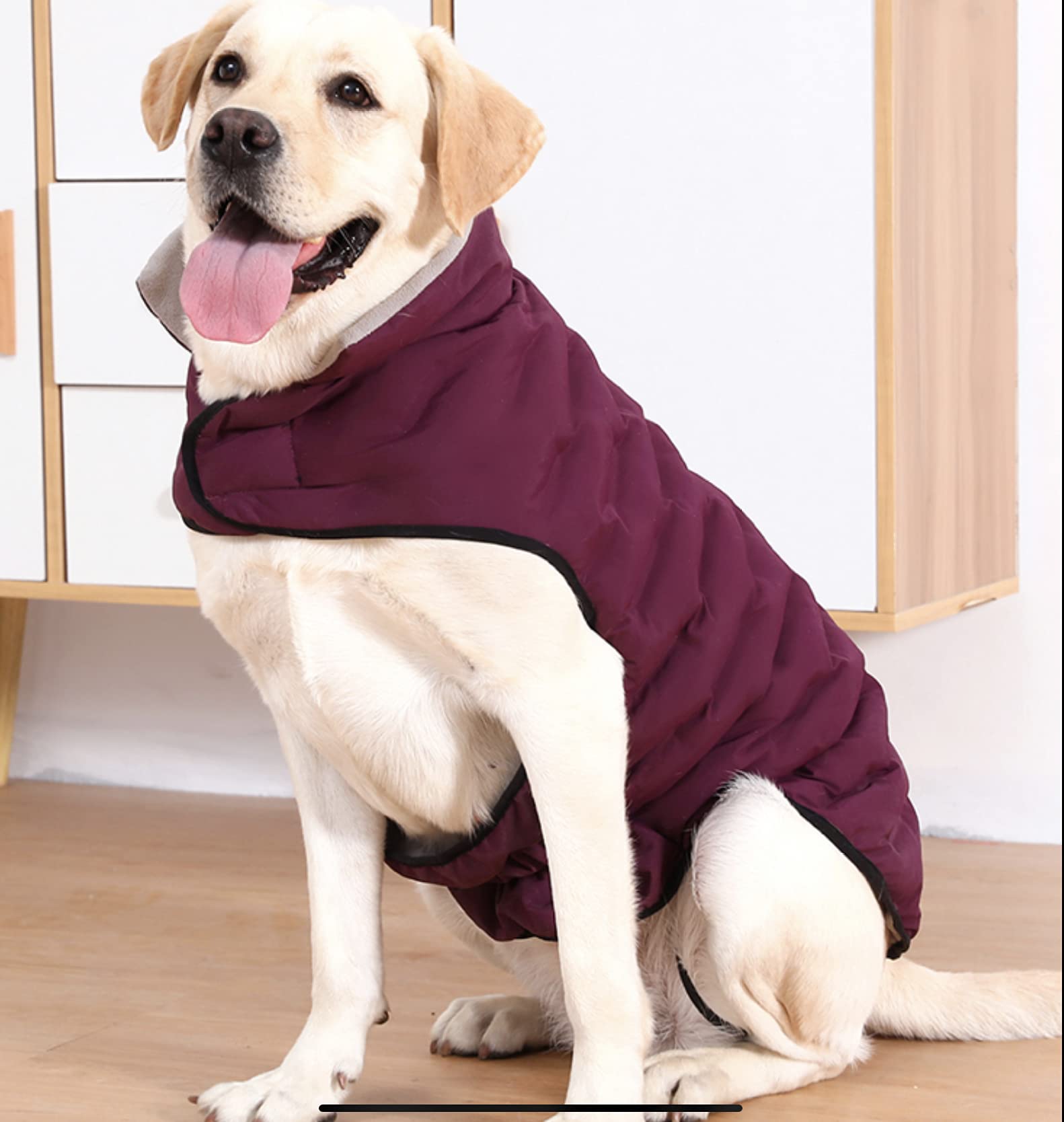 Cosyhome London Cold Winter Dog Pet Coat Jacket Vest Warm Outfit Clothes for Small Medium Dogs 2cloors 3sizes (4XL, fuchsia)