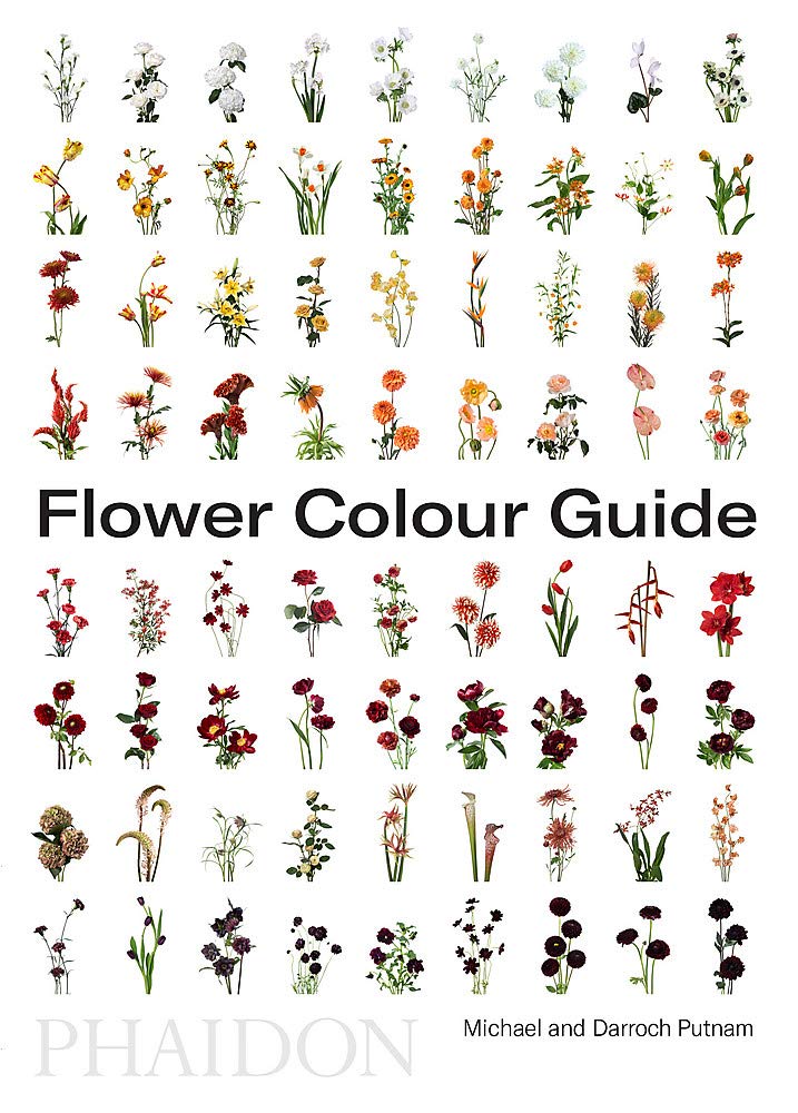 Flower Colour Guide 9780714878300 Amazon Com Books