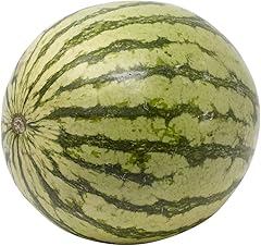 Organic Mini Seedless Watermelon