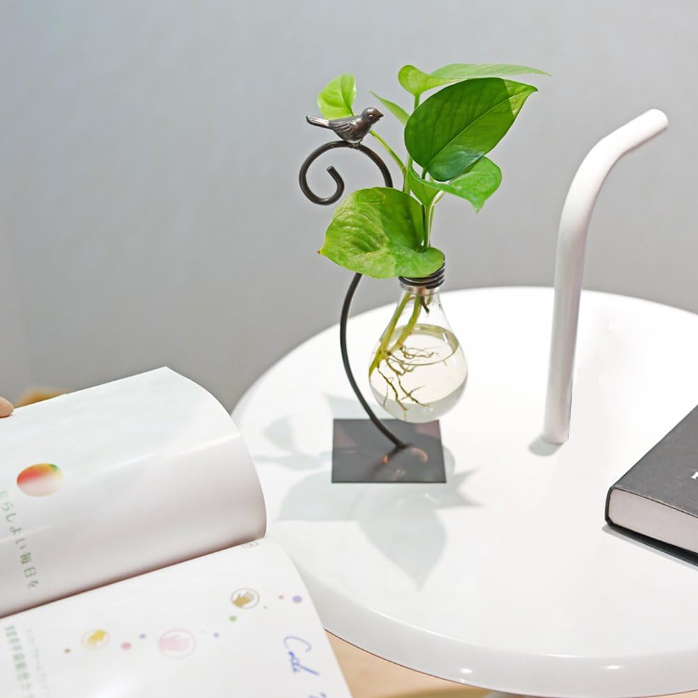Marbrasse Desktop Glass Planter Hydroponics Vase,Planter Bulb Vase with Holder for Home Decoration,Modern Creative Bird Plant Terrarium Stand, Scindapsus Container (Bulb Vase): Kitchen & Dining