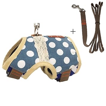 Tafeiya Katzengeschirr Und Leine Zum Spazierengehen