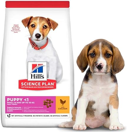 hills small miniature puppy