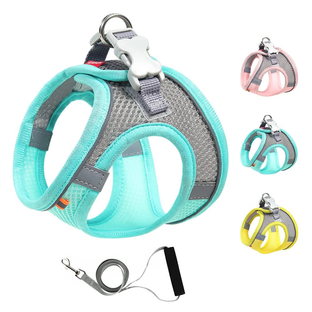 Mitili Dog Harness with Leash Set, No Pull Dogs Vest Harnesses Step-in Air Reflective Adjustable Breathable Mesh Cat Harness fit Small Medium Puppy Pet Cats (Mint Green, Small)