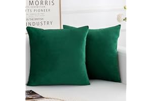 HERAYLI Velvet Decorative Throw Pillow Covers, Soft Square Cushion Case Home Decor for Living Room Couch Bed Sofa, Set of 2 Pack, Christmas Green, 18x18 Inch