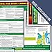 Compliance Assistance - 2021 California State and Federal All-in-one Labor Law Poster - Laminated (English)
