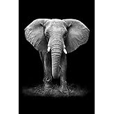 Elephant Notebook: Blank Lined Journal, Softcover (6x9 inches) with 120 Pages