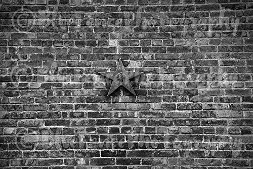 Lone Star, City Photography, Brick Wall, NY, New York City, Art, Print, Decor, Manhattan, Urban, Classic, Empire State Building. Sizes Available from 5x7 to 20x30.
