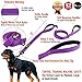 Primal Pet Gear Dog Leash 6ft Long,Traffic Padded Two Handle,Heavy Duty,Reflective Double Handles Lead for Control Safety Training,Leashes for Large Dogs or Medium Dogs,Dual Handles Leads(Purple)