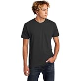 Next Level Apparel Mens N6210