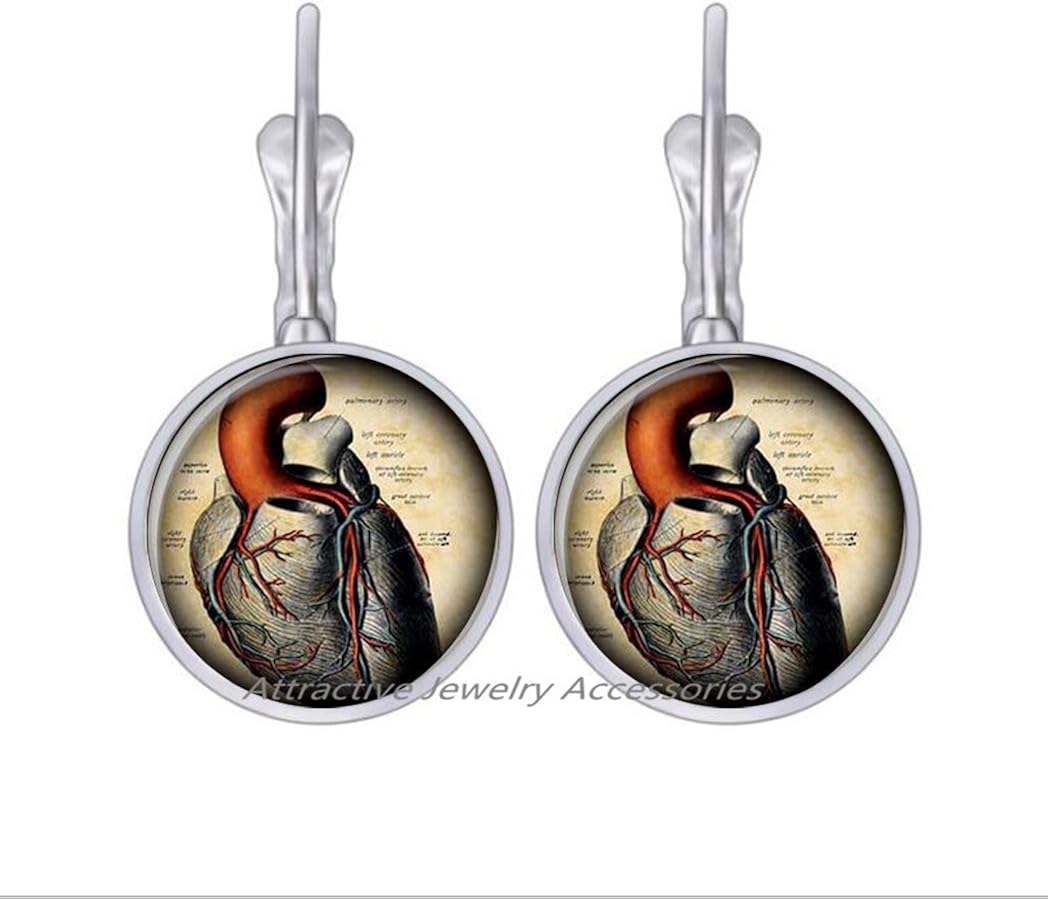 Wklo0avmg Anatomical heart Stud Earrings anatomical heart Earrings