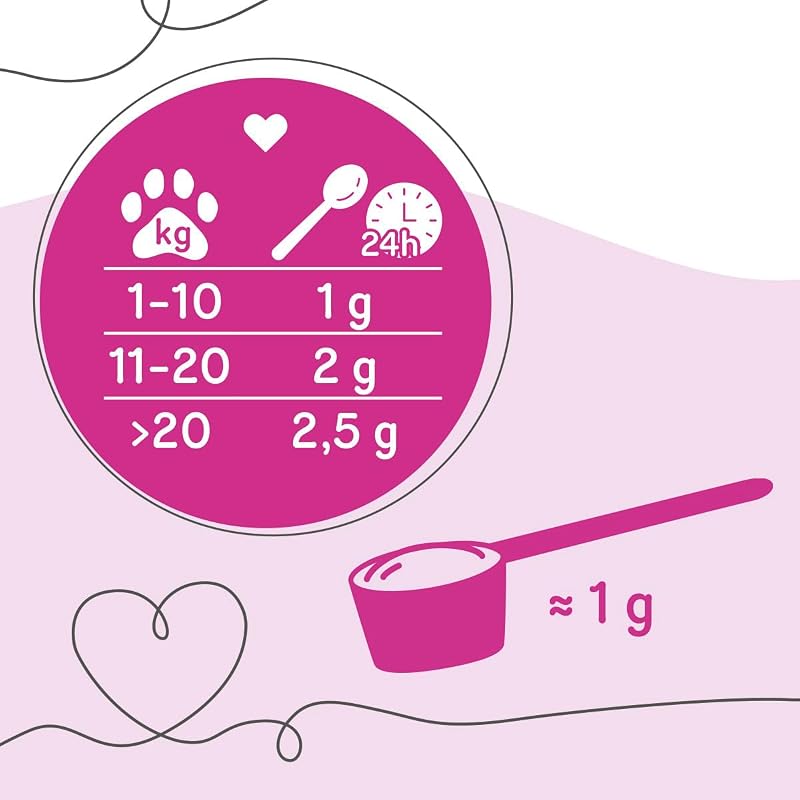 – Dental Care, confezione da 1 (1 × 100 g), alimento complementare per cani